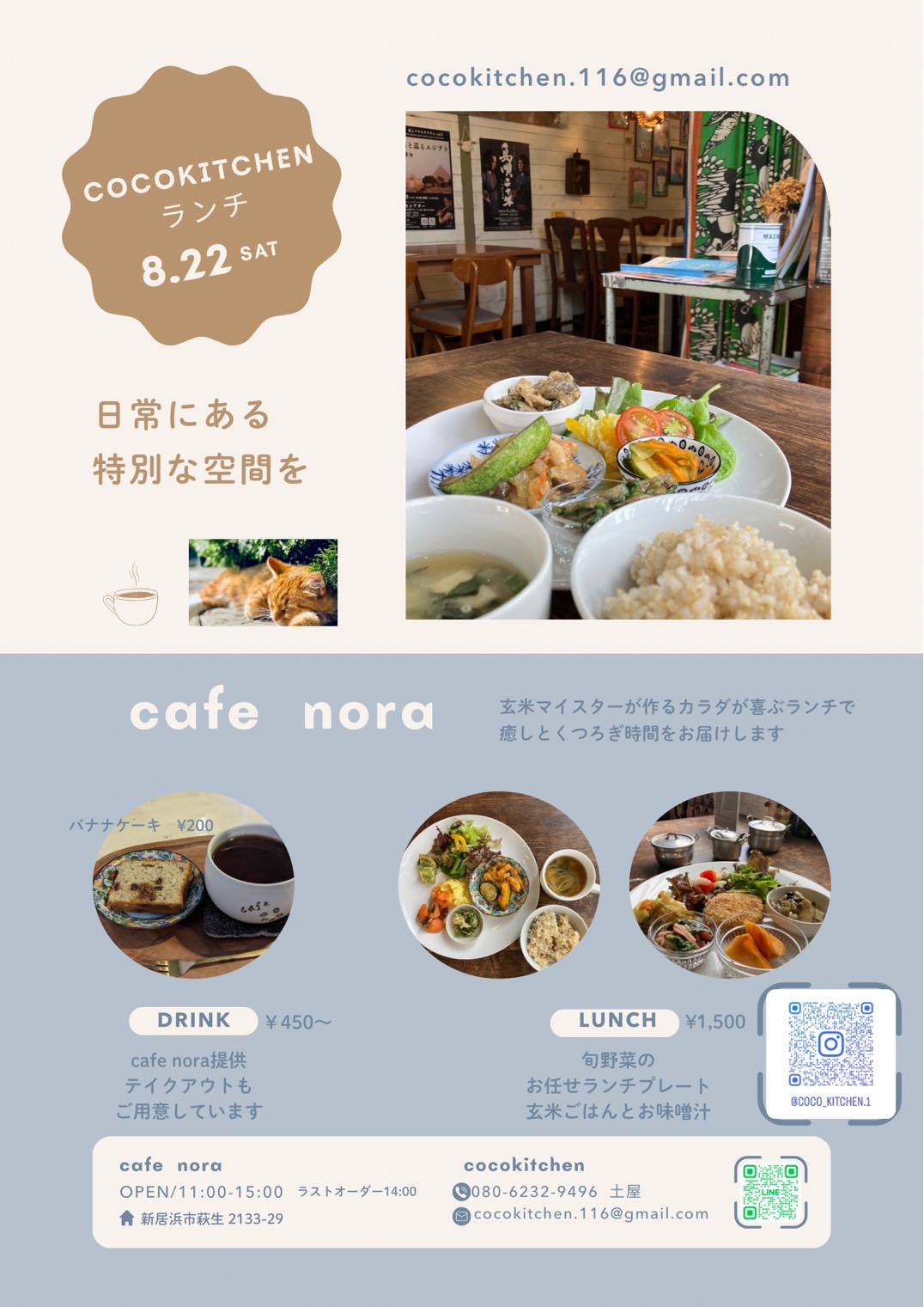 cocokitchen ランチ 詳細チラシ